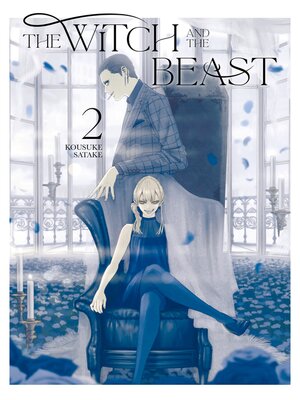 The Witch and the Beast, Volume 2 - ebook